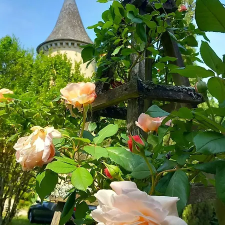 Chateau De Bed and breakfast