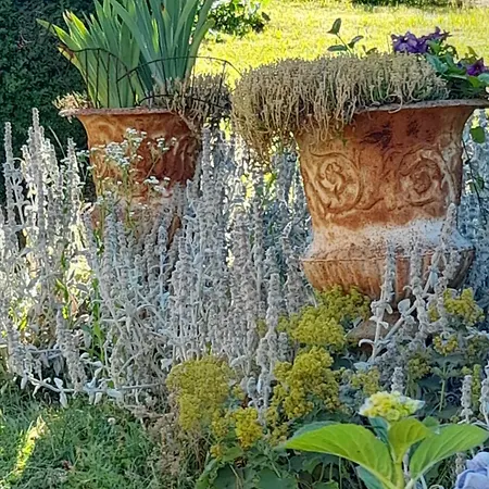 Chateau De Bed and breakfast 3*