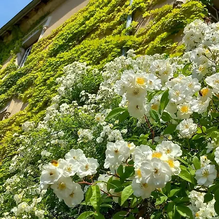 Bed and breakfast Chateau De 3*