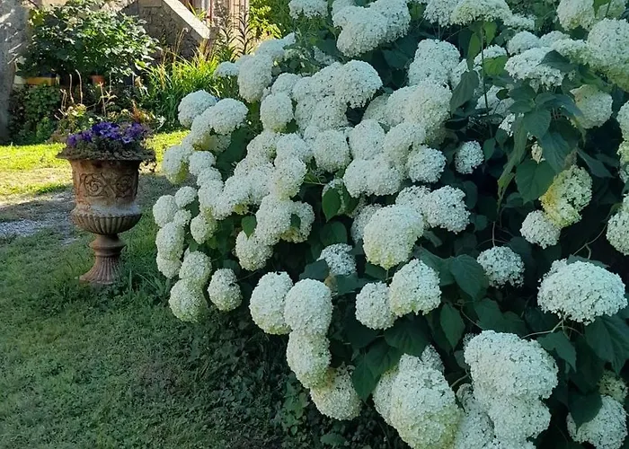 Chateau De Bed and breakfast 3*