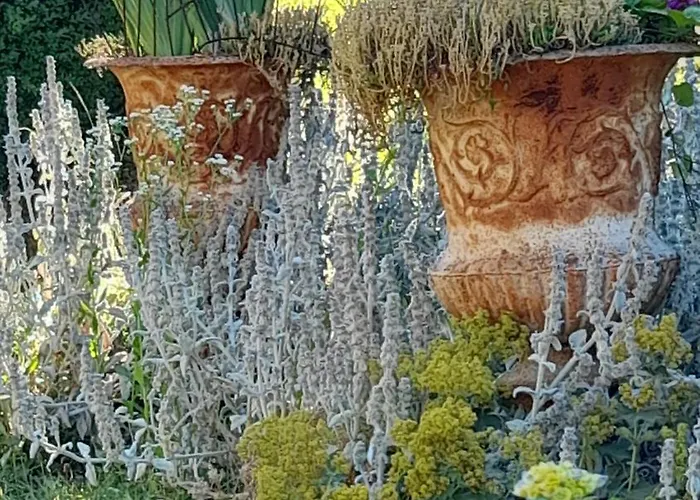 Chateau De Bed and breakfast 3*