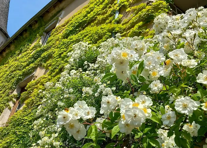 Bed and breakfast Chateau De 3*