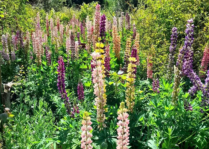 Chateau De Bessonnies