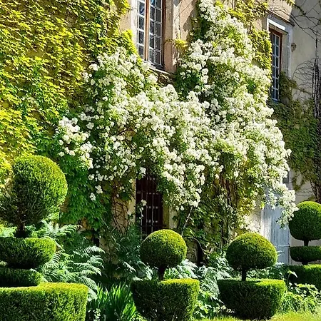 Couette-café Château De Bessonnies