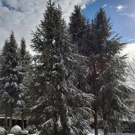 Couette-café Château De 3*