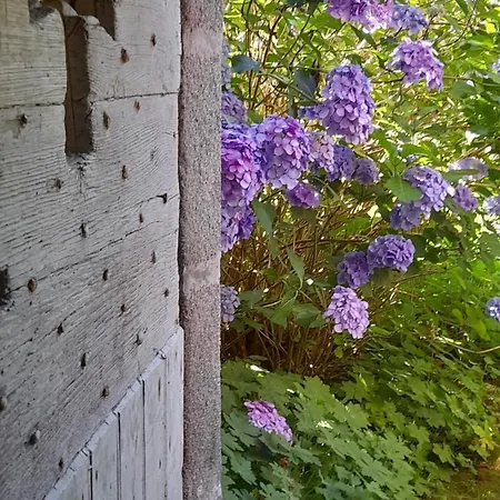 Château De 3* Bessonnies