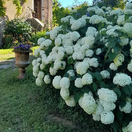 Château De Couette-café 3*