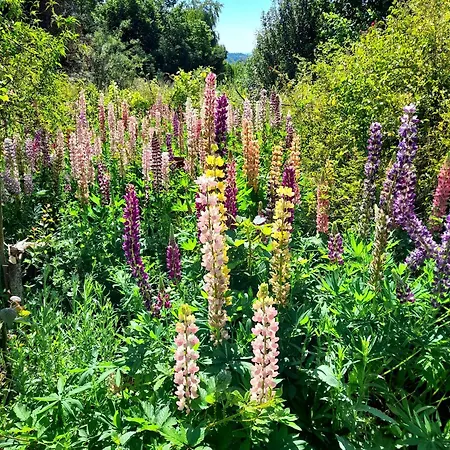 Château De Bessonnies