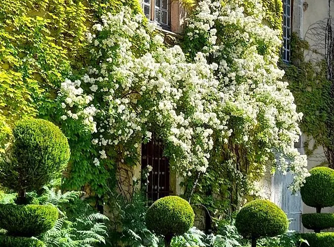 فندق مبيت وإفطار Chateau De Bessonnies