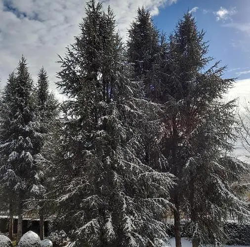 فندق مبيت وإفطار Chateau De 3*