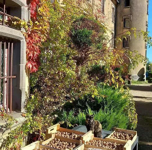 فندق مبيت وإفطار Chateau De