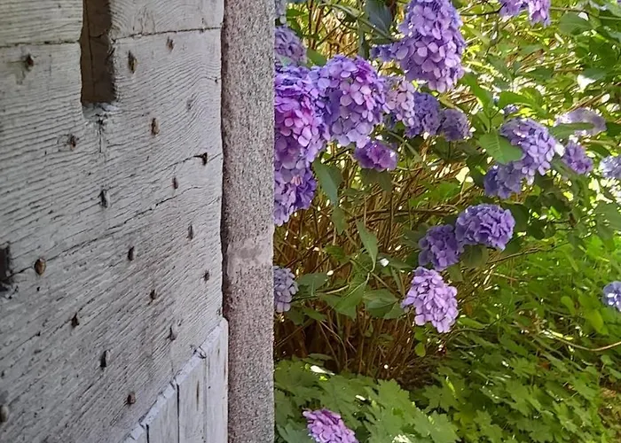 Chateau De 3* Bessonnies