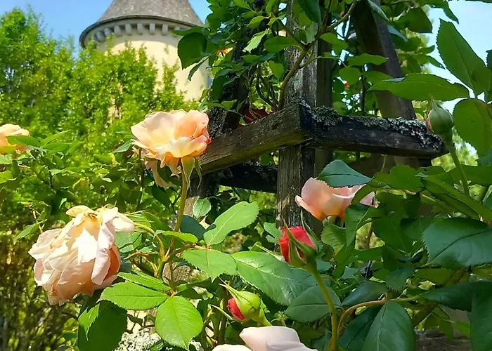 Chateau De فندق مبيت وإفطار