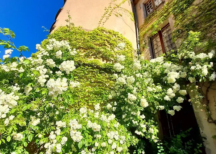 Chateau De 3* Bessonnies